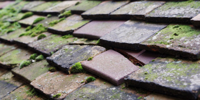 Upperton roof repair costs